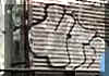 UTAH NYC GRAFFITI
